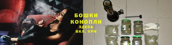 шишки Баксан
