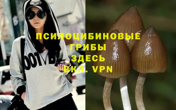 шишки Баксан