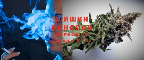 шишки Баксан