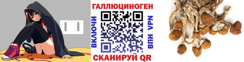 Галлюциногенные грибы GOLDEN TEACHER  Новокубанск 